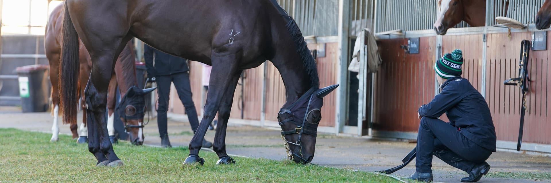 Matt Hoysted Racing Racehorse stable based at Eagle Farm, Brisbane.