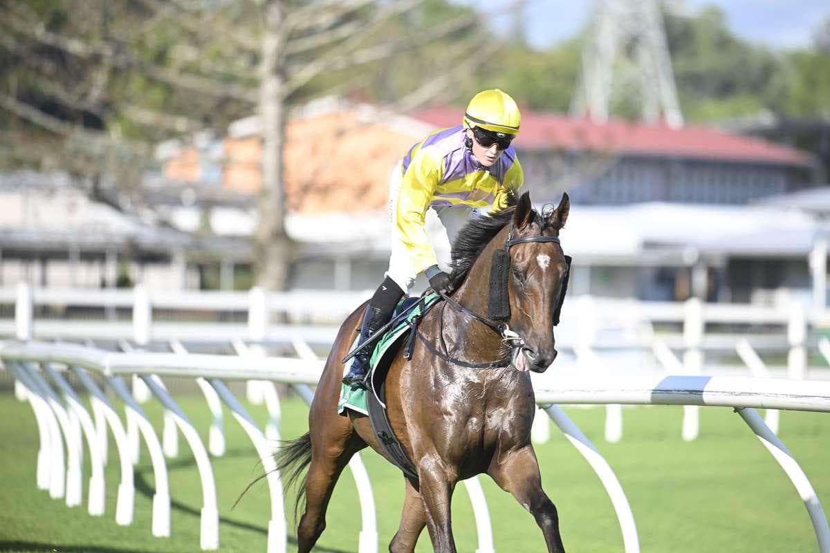 Six of wands back to back!