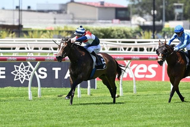 Cup week delight for HEARTS ARE BETTER & TAKE A BOW