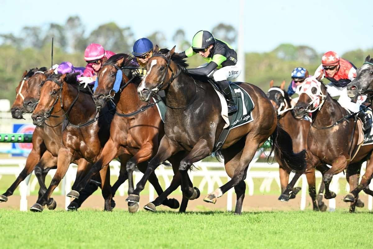 Perfect start to 2026!